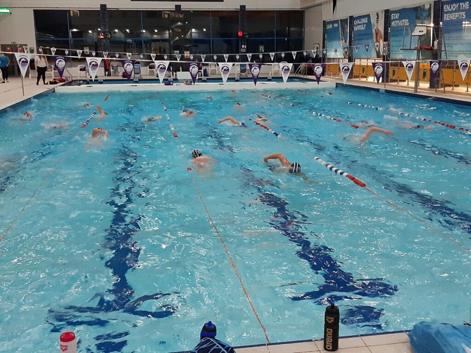 Swimmers